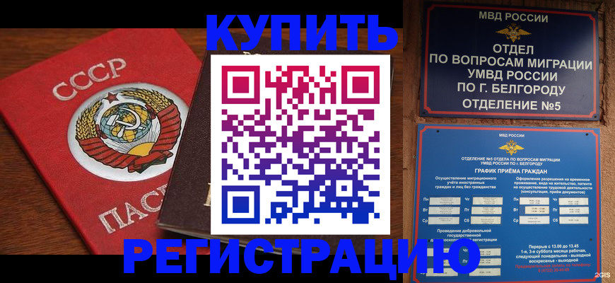 прописка для работы в Выборге